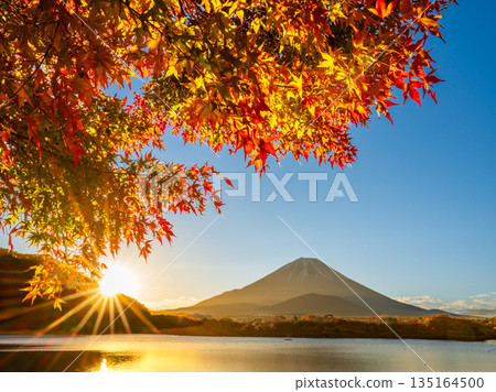 精進湖的日出、秋葉和富士山 135164500