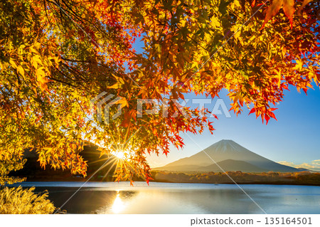 從精進湖眺望秋葉、日出和富士山。 135164501