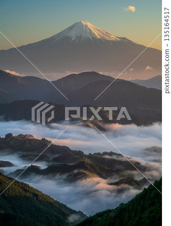 從清水區吉原眺望，可以看到被晨曦照亮的雲海和富士山。 135164517