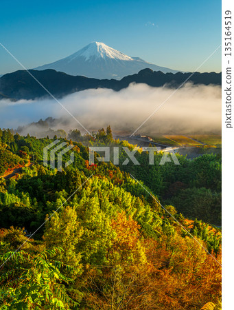 秋葉與富士山 135164519