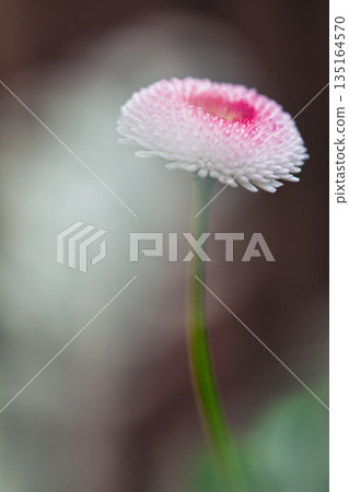 孤獨 孤獨 135164570