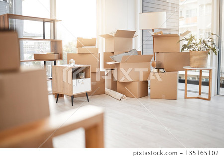 Moving, new home and cardboard boxes for packing house with furniture, living room decorations and apartment space. Household, packed box and empty property to rent, buy or own with modern interior 135165102