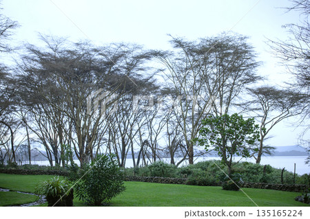 Kenya Photographers By Antony Trivet Photography 135165224
