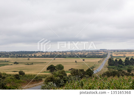 Kenya Photographers By Antony Trivet Photography 135165368