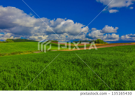 Beautiful rural landscape Beautiful rural landscape 135165430
