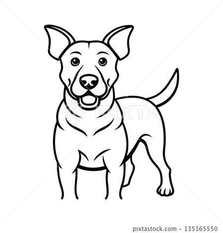 Cute Jack Russell Terrier Dog Line Art Illustration Design 135165550