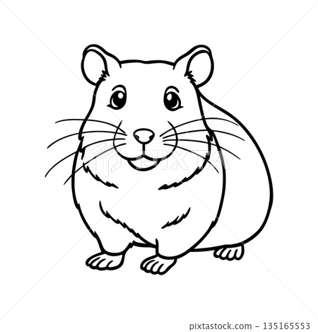 Cute Hamster Line Art Illustration for Coloring Pages and Printables Cute Hamster Line Art Illustration for Coloring Pages and Printables 135165553