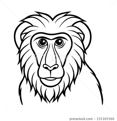 Detailed Line Art Illustration of a Baboon Monkey Head Portrait Detailed Line Art Illustration of a Baboon Monkey Head Portrait 135165560