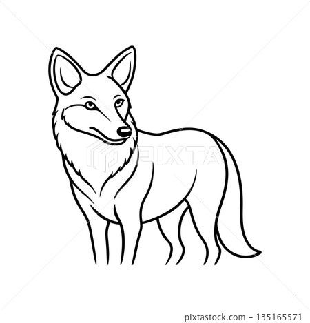 Elegant Coyote Outline Illustration Isolated on White Background Vector Art Elegant Coyote Outline Illustration Isolated on White Background Vector Art 135165571