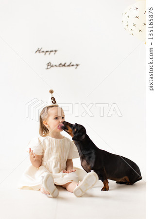 A young girl celebrates her third birthday with a playful kiss from her dachshund dog, creating a heartwarming moment. 135165876