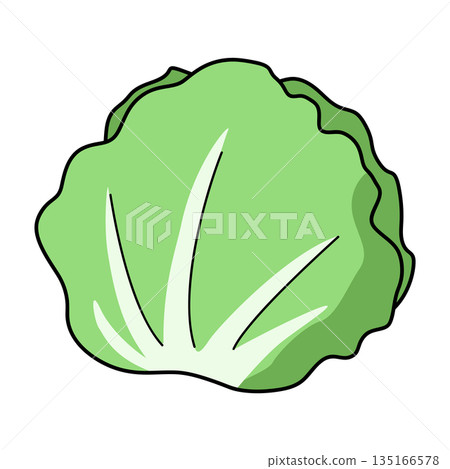 簡單的生菜插圖 簡單的生菜插圖 135166578