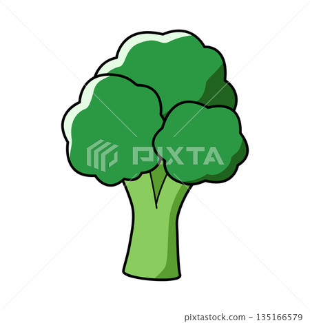 Illustration of simple broccoli 135166579