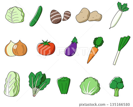 Illustration set of 15 designated vegetables 135166580