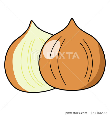 一個簡單的洋蔥的插圖 一個簡單的洋蔥的插圖 135166586