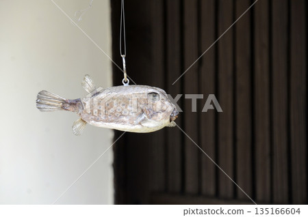 Pufferfish on the porch Pufferfish on the porch 135166604