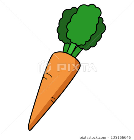 simple carrot illustration 135166646