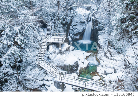 湯森溪谷（冬季）：龍神瀑布 135166945