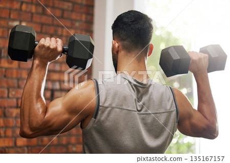 Weightlifting, muscle and man with dumbbell in gym for exercise, bodybuilder training and workout. Sports, fitness and back of strong male person lift weights for wellness, healthy body and strength Weightlifting, muscle and man with dumbbell in gym for exercise, bodybuilder training and workout. Sports, fitness and back of strong male person lift weights for wellness, healthy body and strength 135167157