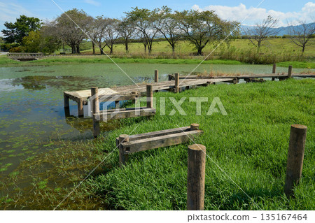 [Nagano] A walking trail in the wetlands of the Kawanakajima battlefield 135167464