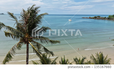 Palm trees swaying on tropical beach with tourists enjoying crystal clear water 135167660