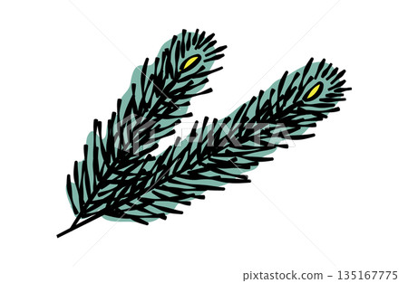 松樹葉插圖(有線條) 松樹葉插圖(有線條) 135167775