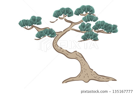 Pine tree illustration (color line) 135167777