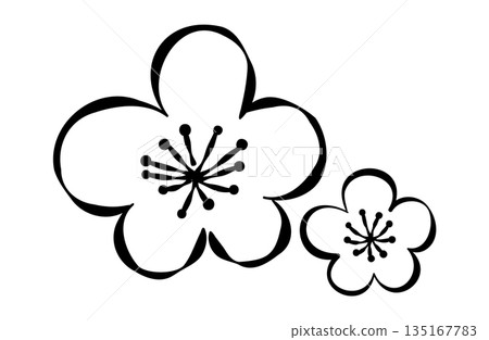 Plum blossom line drawing illustration Plum blossom line drawing illustration 135167783