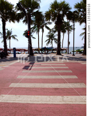 Coastal street lined with palm trees 135168018