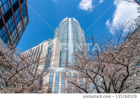 [Tokyo] Cherry blossoms at Roppongi Hills just beginning to bloom 135168329