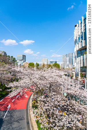 [Tokyo] Beautiful cherry blossoms in full bloom at Tokyo Midtown 135168394