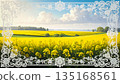 A landscape of a rapeseed flower field bordered with white lace and a blue sky (horizontal 16:9) 135168561
