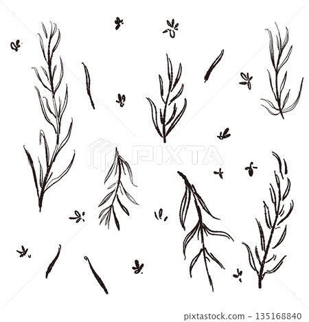 Hand-drawn monochrome illustrations of rosemary (frames, wreaths, patterns, etc.) 135168840