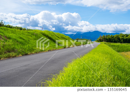 令人心曠神怡的夏日鄉村景色 令人心曠神怡的夏日鄉村景色 135169045