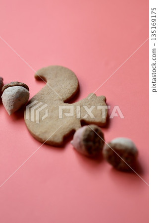 松鼠形狀的餅乾和橡子形狀的蛋白酥皮餅乾 135169175