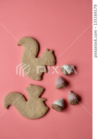Squirrel-shaped cookies and acorn-shaped meringue cookies Squirrel-shaped cookies and acorn-shaped meringue cookies 135169179