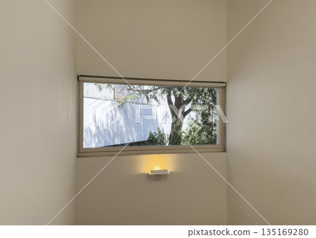 Window with view of tree and nature. Modern home interior design with daylight, sunlight and green 135169280
