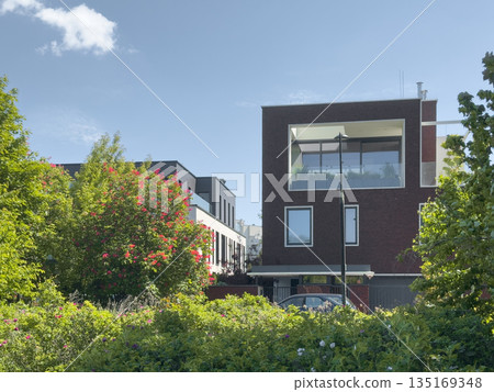 Building with modern urban skyline. City architecture surrounded by green park with trees and grass 135169348