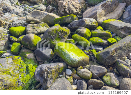 Stone with green moss texture. Natural surface closeup with lichen detail, rough weathered pattern, Stone with green moss texture. Natural surface closeup with lichen detail, rough weathered pattern, 135169407