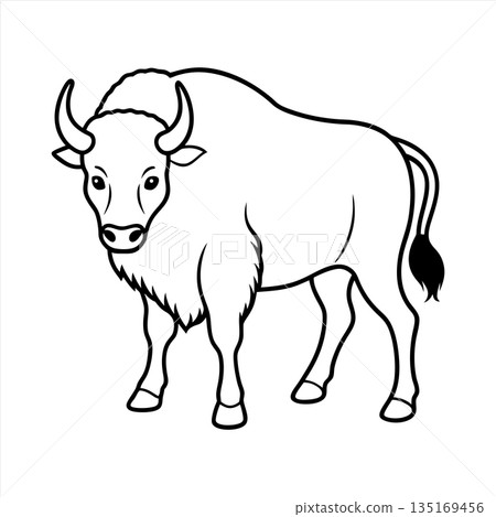 Bold outline of a majestic bison standing isolated on white background 135169456