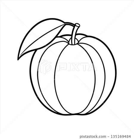 Simple peach outline illustration perfect for coloring books and design Simple peach outline illustration perfect for coloring books and design 135169484