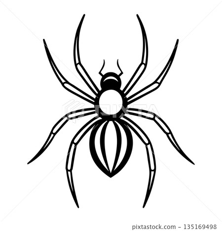 Black and white spider illustration with detailed leg and body features Black and white spider illustration with detailed leg and body features 135169498