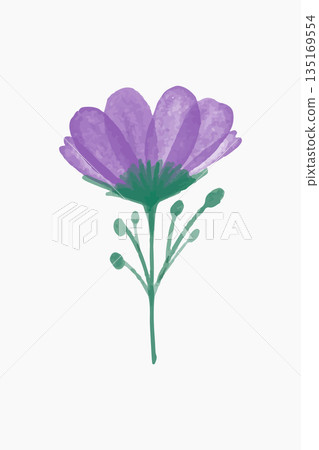 Watercolor Purple Flower Illustration with Green Stem and Leaves Isolated Watercolor Purple Flower Illustration with Green Stem and Leaves Isolated 135169554
