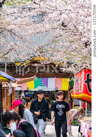 【埼玉縣】川越市蓮慶寺櫻花盛開,美不勝收 【埼玉縣】川越市蓮慶寺櫻花盛開,美不勝收 135170506