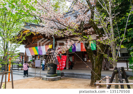 【埼玉縣】川越市蓮慶寺櫻花盛開,美不勝收 【埼玉縣】川越市蓮慶寺櫻花盛開,美不勝收 135170508