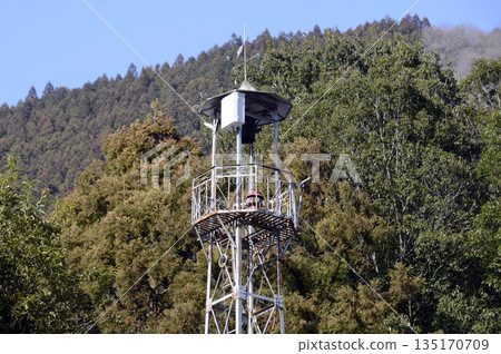 Fire Tower 135170709