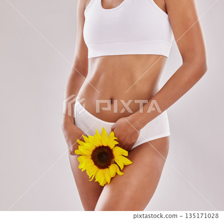 Sunflower, body and woman in underwear in studio for feminine hygiene, natural or treatment on grey background. Flower, wellness and female model with plant for women care, cleaning or uterus health 135171028
