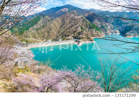 東京奧多摩湖和湖畔的櫻花 東京奧多摩湖和湖畔的櫻花 135171299