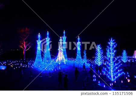 Illumination Sagae City Illumination Sagae City 135171506