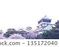 Ogura castle and cherry blossoms 135172040