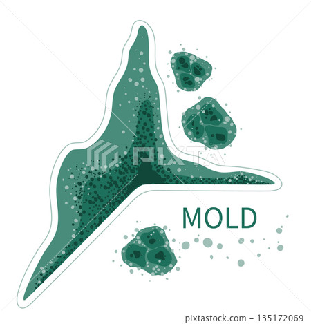 Green mold in damp room corner. Black fungus spores growth in humid environment 135172069